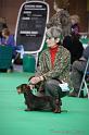 Crufts2011_2 796